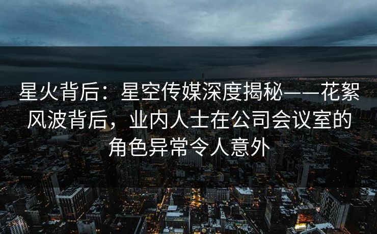 星火背后：星空传媒深度揭秘——花絮风波背后，业内人士在公司会议室的角色异常令人意外