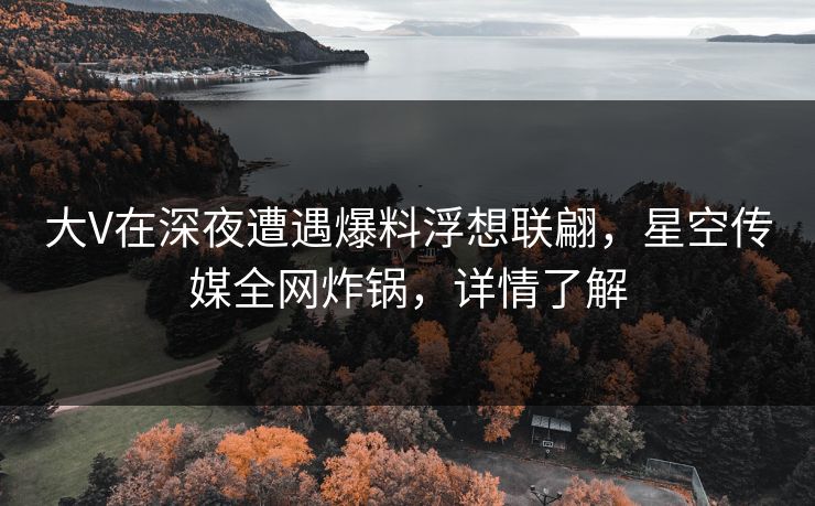 大V在深夜遭遇爆料浮想联翩，星空传媒全网炸锅，详情了解