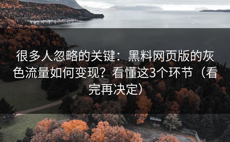很多人忽略的关键：黑料网页版的灰色流量如何变现？看懂这3个环节（看完再决定）
